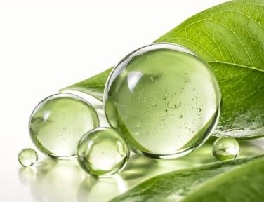 Translucent green gel spheres resting on a leaf